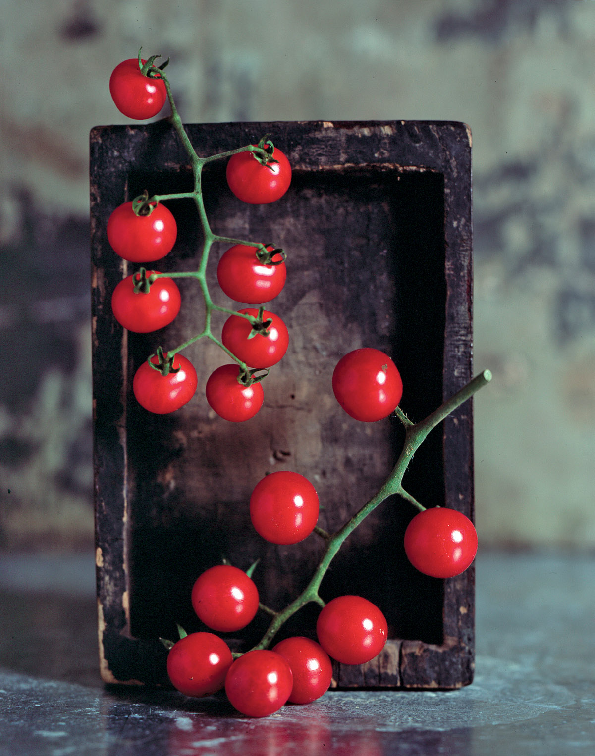 ‘Matt’s Wild Cherry