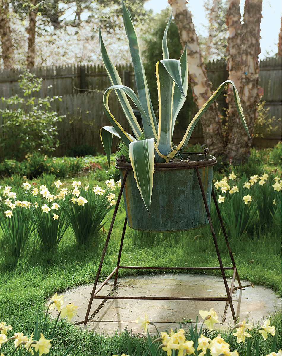 container plant on a pedestal on top of a stone well cover