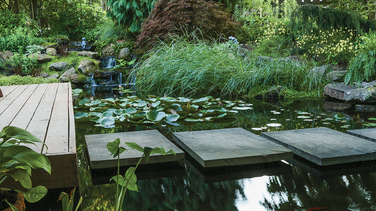 stepping stones over a garden pond