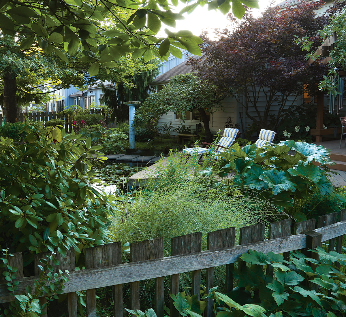 looking over the fence into the backyard