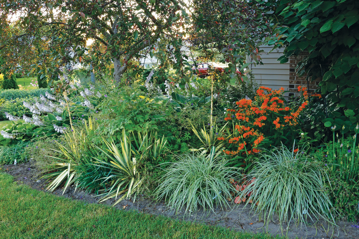 a garden border in a shady area with many perennials that thrive in shade