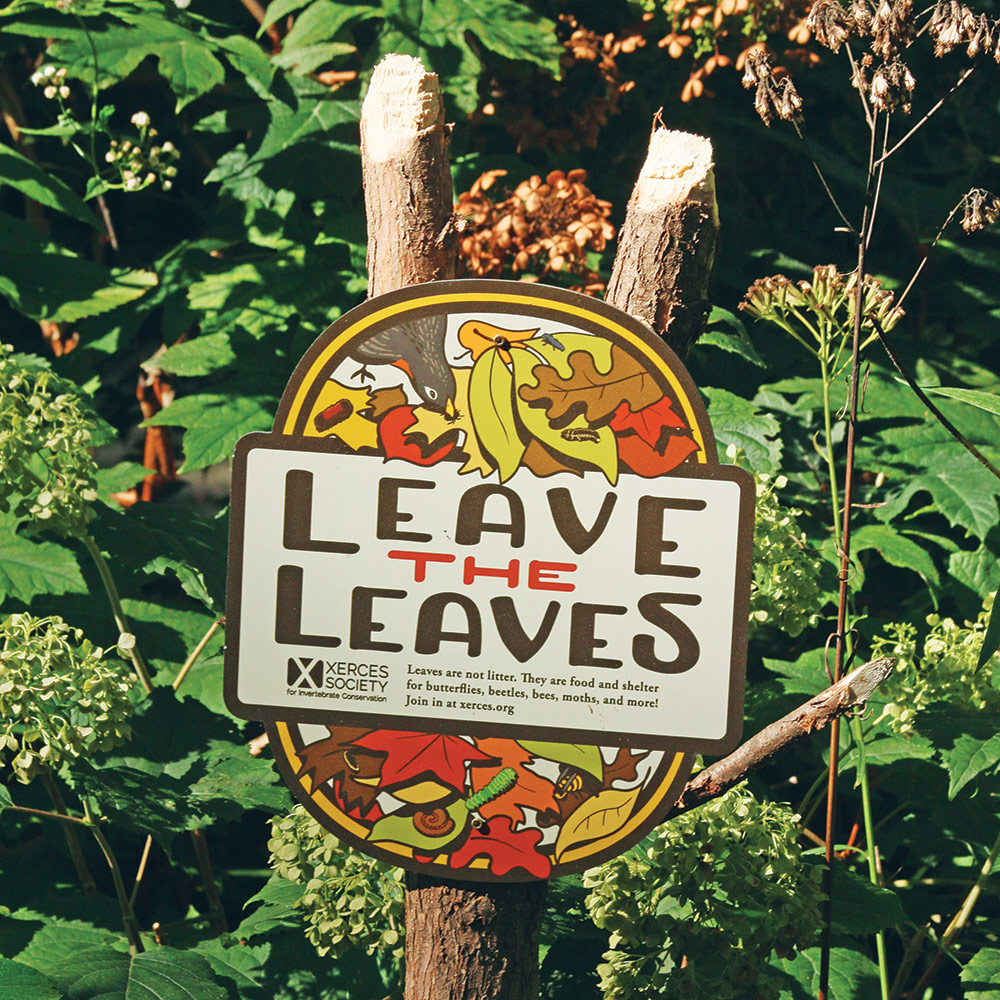 leave the leaves sign
