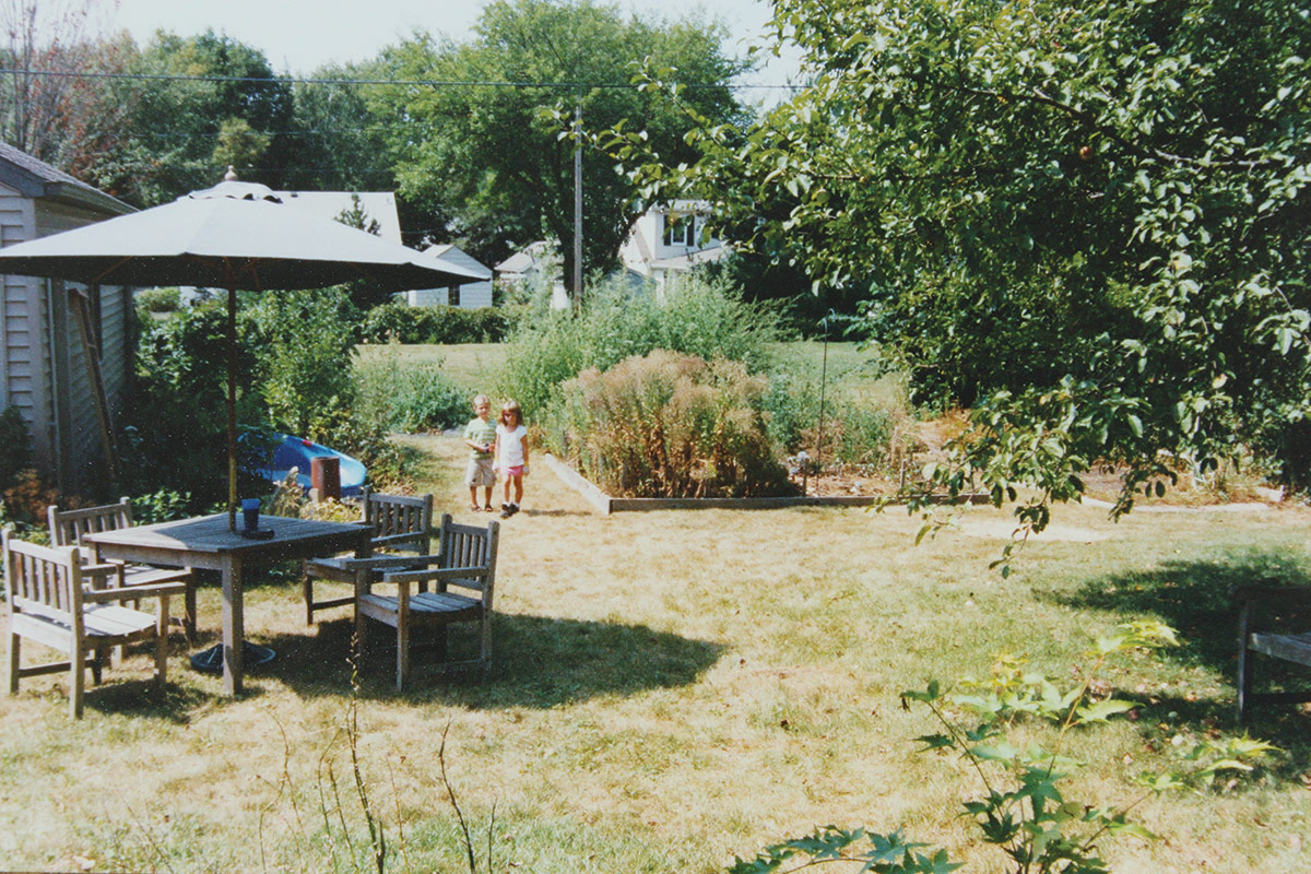 backyard before landscaping and naturalistic gardens