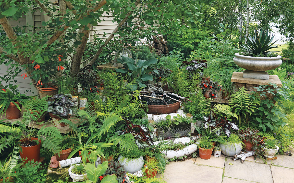corner of patio filled with container plantings