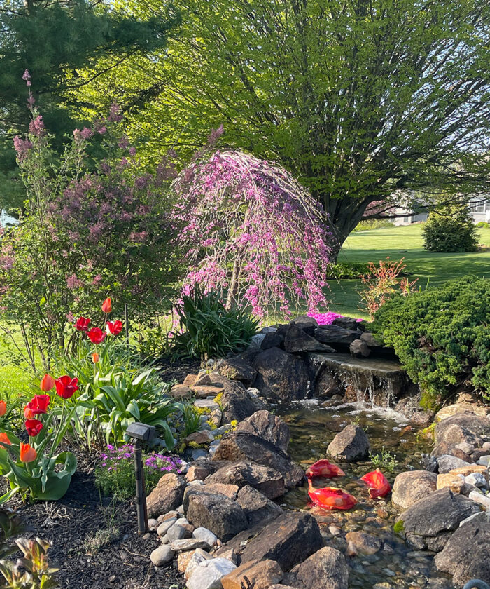 garden creak water feature surrounded by plants