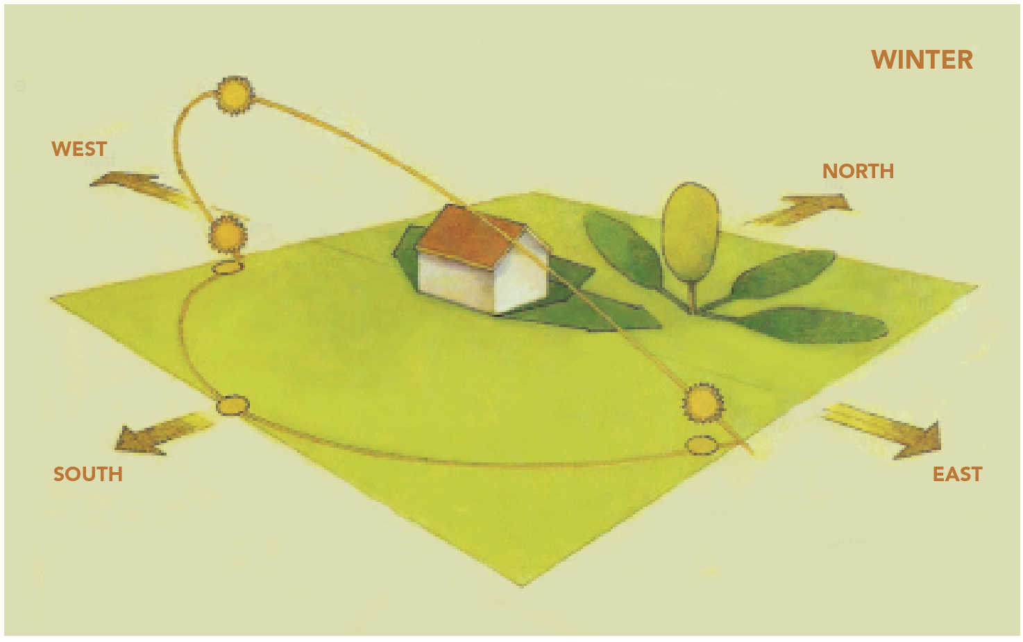 in fall, the garden will get less direct sunlight